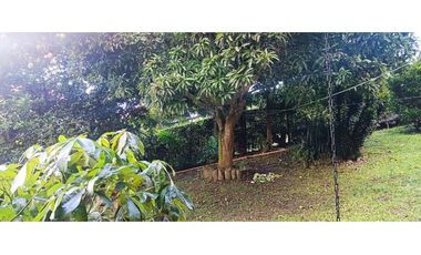SE VENDE HERMOSA FINCA EN AMAG ANTIOQUIA