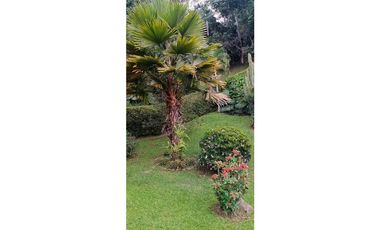 SE VENDE HERMOSA FINCA EN AMAG ANTIOQUIA