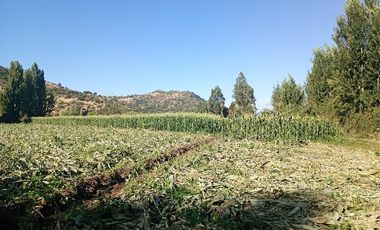 Parcela 2,5 Hás. Rincón de Morales.