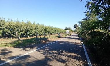 Parcela 2,5 Hás. Rincón de Morales.