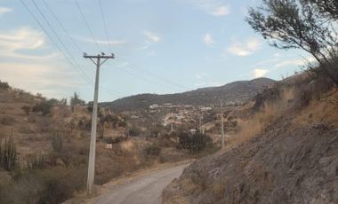 Vende Parcela El Tayen Fundo Santa Aurora Coinco
