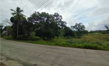 Se Vende finca de 1.2 has en Arraiján-Panamá Oeste (DR)