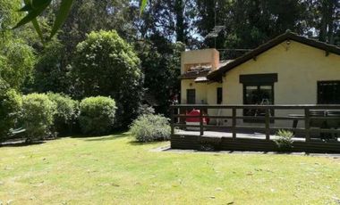 BOSQUE PERALTA RAMOS