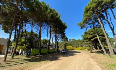 POSITIVE HOUSE IV - PINAMAR