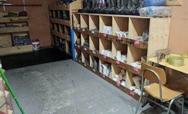 Local Comercial en Venta en Queilén