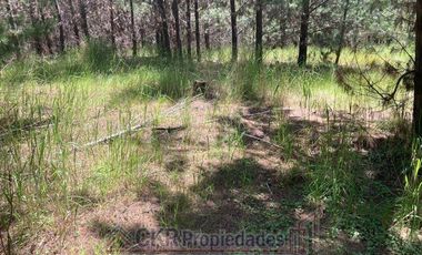 Parcela en Venta en HIJUELA 2 LT 289, Pichilemu