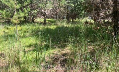 Parcela en Venta en HIJUELA 2 LT 289, Pichilemu