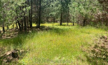 Parcela en Venta en HIJUELA 2 LT 289, Pichilemu