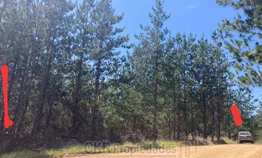 Parcela en Venta en HIJUELA 2 LT 289, Pichilemu