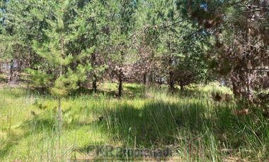 Parcela en Venta en HIJUELA 2 LT 289, Pichilemu