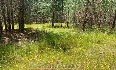 Parcela en Venta en HIJUELA 2 LT 289, Pichilemu