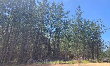 Parcela en Venta en HIJUELA 2 LT 289, Pichilemu