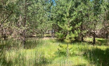 Parcela en Venta en HIJUELA 2 LT 289, Pichilemu