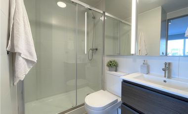 ARRIENDO METRO SAN MIGUEL / MARIA AUXILIADORA