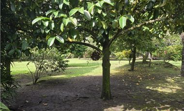 Venta casa finca Barrio La Estación, Mariquita
