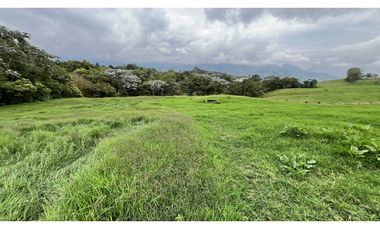 VENTA DE LOTE EN SALENTO, QUINDO, COLOMBIA