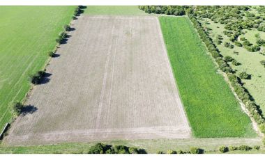 Vendo Campo de 14 Hectáreas en Pronunciamiento, Entre Ríos.