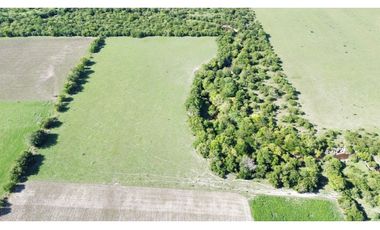 Vendo Campo de 14 Hectáreas en Pronunciamiento, Entre Ríos.