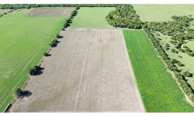 Vendo Campo de 14 Hectáreas en Pronunciamiento, Entre Ríos.