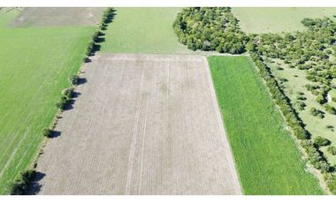 Vendo Campo de 14 Hectáreas en Pronunciamiento, Entre Ríos.