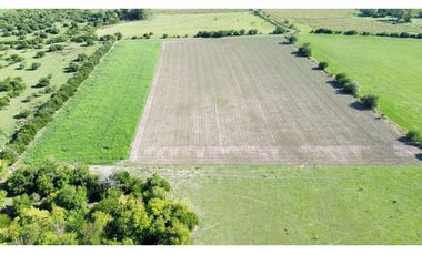 Vendo Campo de 14 Hectáreas en Pronunciamiento, Entre Ríos.