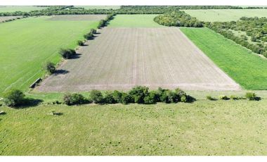 Vendo Campo de 14 Hectáreas en Pronunciamiento, Entre Ríos.