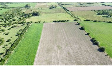 Vendo Campo de 14 Hectáreas en Pronunciamiento, Entre Ríos.