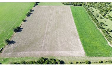 Vendo Campo de 14 Hectáreas en Pronunciamiento, Entre Ríos.
