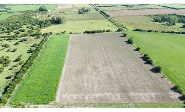 Vendo Campo de 14 Hectáreas en Pronunciamiento, Entre Ríos.