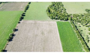 Vendo Campo de 14 Hectáreas en Pronunciamiento, Entre Ríos.