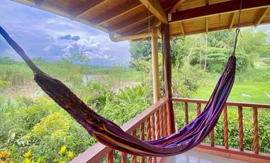 FINCA en VENTA en La Virginia