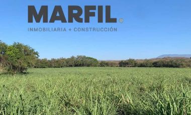 Venta 12 Hectáreas Planas con Abundante Agua en Acatitán Colima