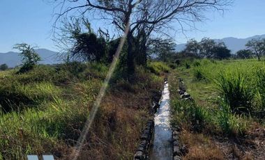 Venta 12 Hectáreas Planas con Abundante Agua en Acatitán Colima