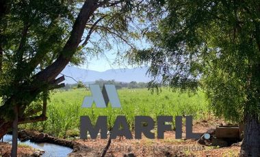 Venta 12 Hectáreas Planas con Abundante Agua en Acatitán Colima