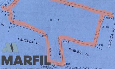 Venta 12 Hectáreas Planas con Abundante Agua en Acatitán Colima