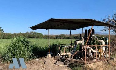 Venta 12 Hectáreas Planas con Abundante Agua en Acatitán Colima