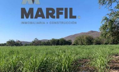 Venta 12 Hectáreas Planas con Abundante Agua en Acatitán Colima