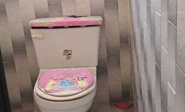 Edificio en venta en Magnolias Tultitlan