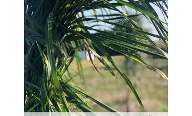 Loteo Arcos de Andino - Lote 300 mt2