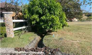 LOTE A LA VENTA PH LA COLONIA BRISAS DEL CELAJE CHAME