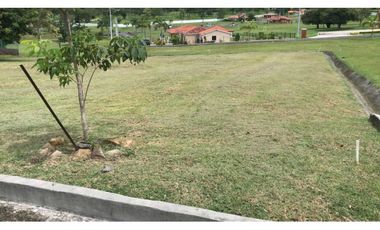 LOTE A LA VENTA PH LA COLONIA BRISAS DEL CELAJE CHAME