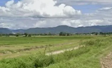Land for sale in Sathan, Chiang Rai