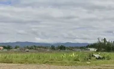 Land for sale in Sathan, Chiang Rai