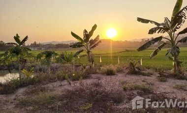 Land for sale in Sathan, Chiang Rai