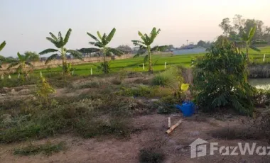 Land for sale in Sathan, Chiang Rai