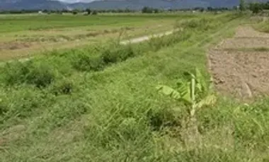 Land for sale in Sathan, Chiang Rai