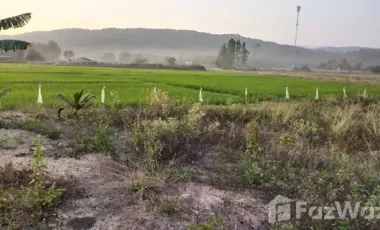 Land for sale in Sathan, Chiang Rai
