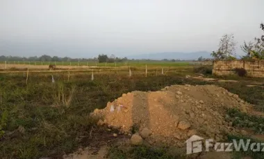 Land for sale in Sathan, Chiang Rai