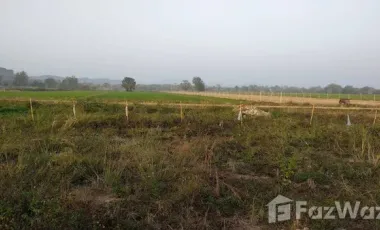 Land for sale in Sathan, Chiang Rai