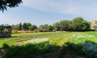 Terreno en venta San Pedro Cholula, Puebla.